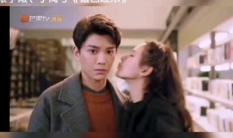 电视剧十三,命运交织的青春岁月